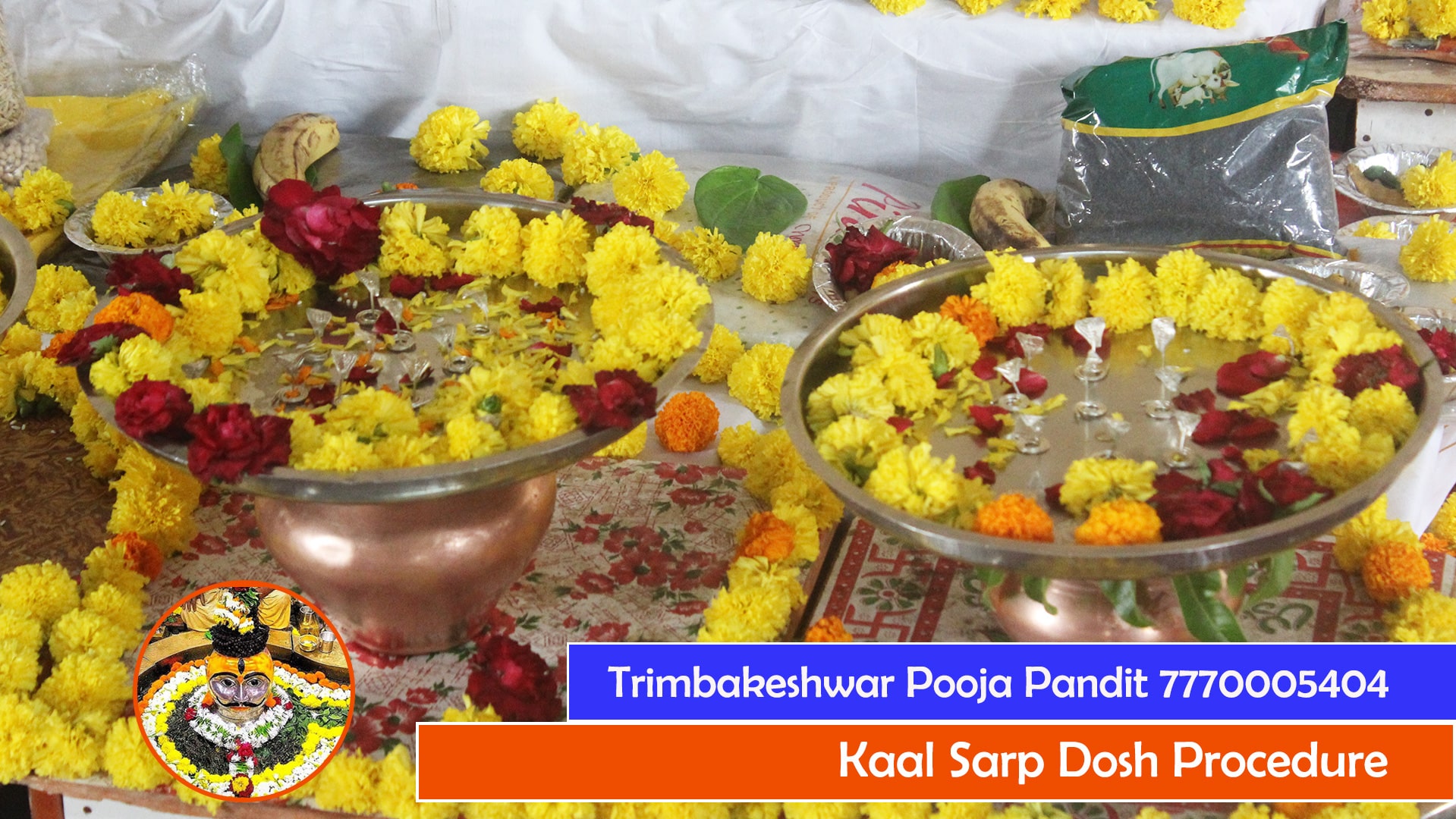 Trimbakeshwar Puja Vidhi - Kaal Sarp Dosh Procedure