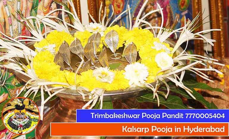 Kalsarp Pooja in Hyderabad - Call Shivang Guruji +91 7770005404