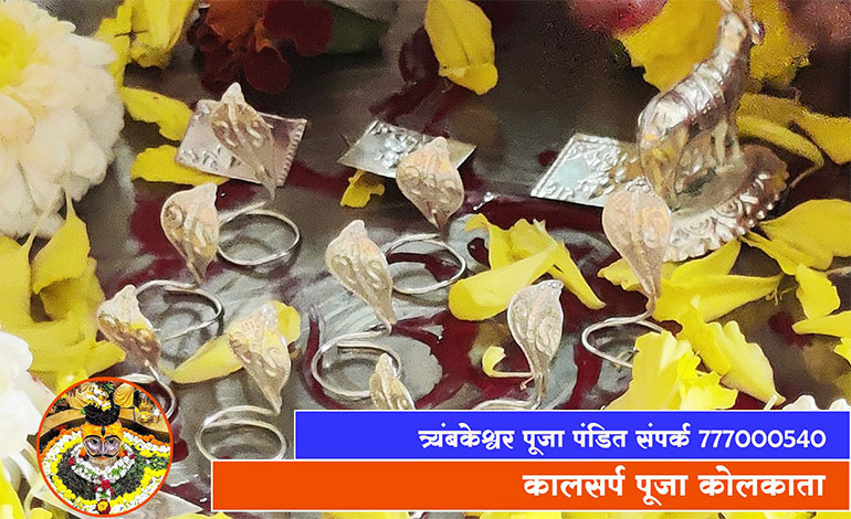 कालसर्प दोष पूजा कोलकाता | त्र्यंबकेश्वर पूजा विधि संपर्क करें 7770005404